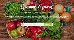 Voici à quoi peut ressembler une landing page.